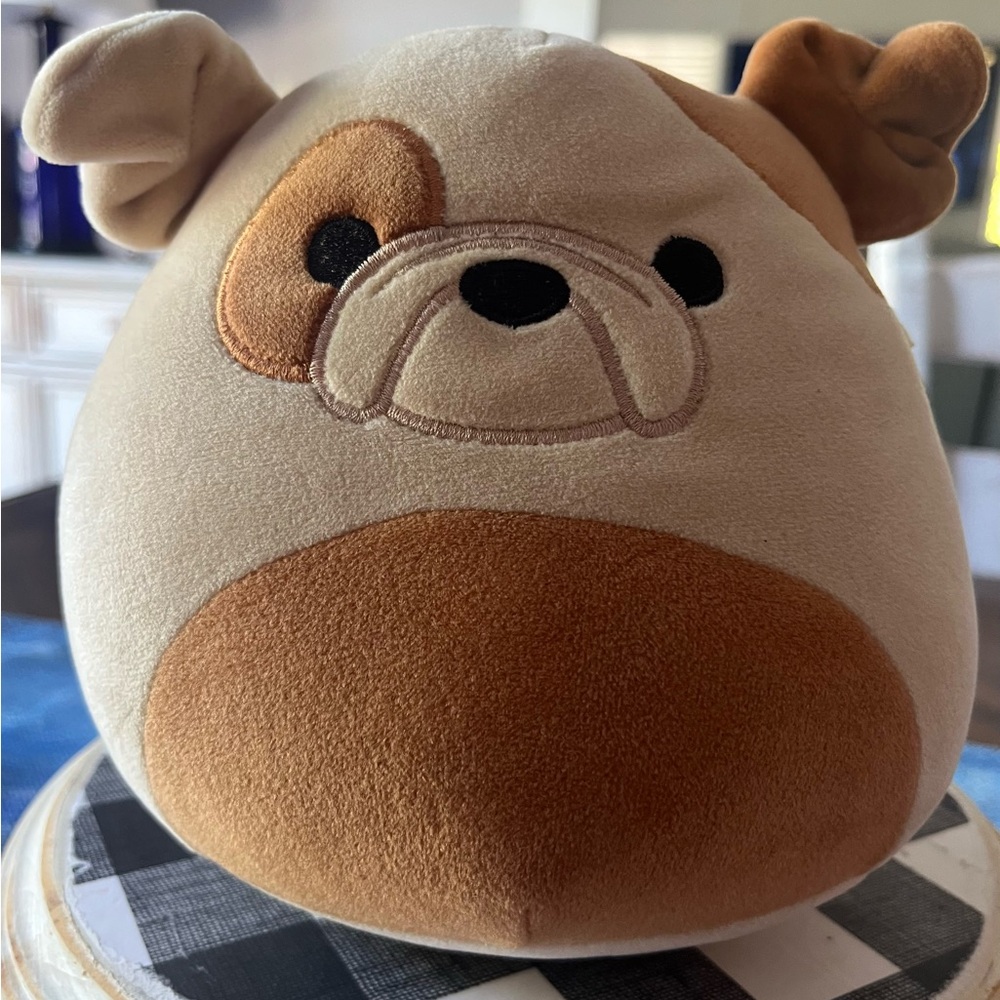 Squishmallows Bulldog Brown and Cream Plush